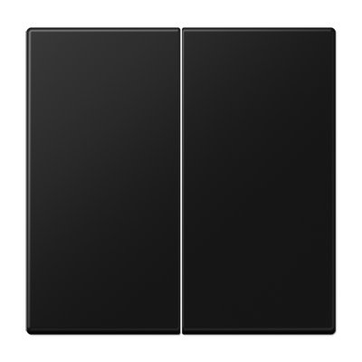 LS990 Клавиша для 2-кл балансирных выключателей; дюропласт; черный матовый