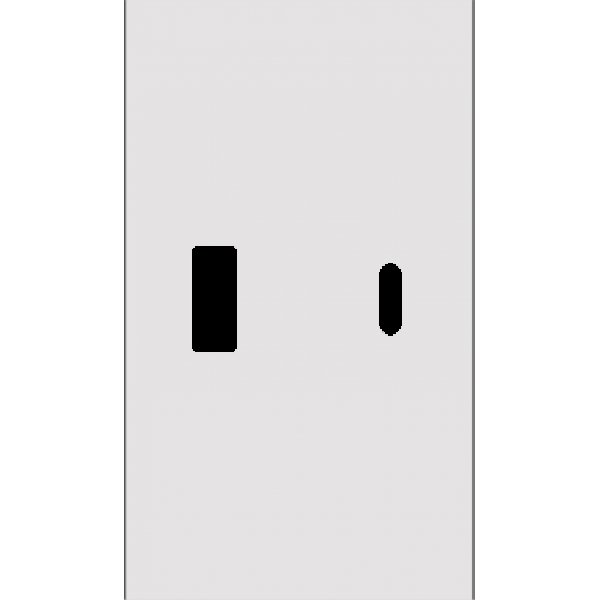 Usb+type c наклодкой 2-ух модульная (БЕЛЫЙ МАТОВЫЙ) MEITON AW12C