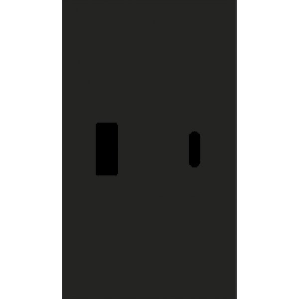 Usb+type c наклодкой 2-ух модульная (ЧЁРНЫЙ МАТОВЫЙ) MEITON AG12C
