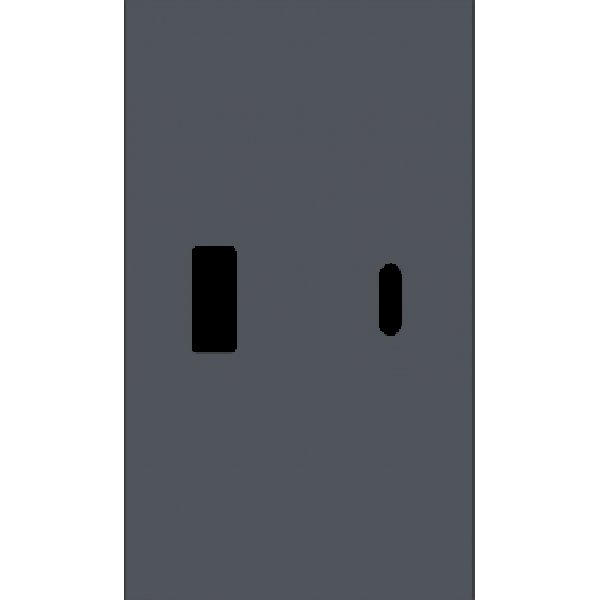 USB+type с накладкой 2-ух модульная (ГРИФЕЛЬ МАТОВЫЙ) MEITON AL12C
