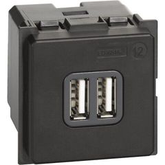 Механизм зарядного устройства USB тип - А/тип - А 3000мА 2 модуля
