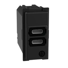 Механизм зарядного устройства USB 2 разъёма тип - C/C 15 Вт/3000мА 1 модуль