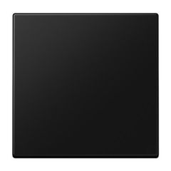 LS990 Клавиша 1-кл для балансирных выключателей; дюропласт; черный матовый