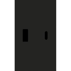 Usb+type c наклодкой 2-ух модульная (ЧЁРНЫЙ МАТОВЫЙ) MEITON AG12C