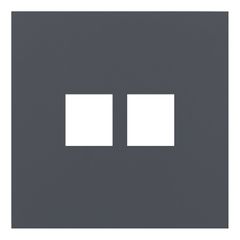 Лицевая панель для двойной информационной розетки