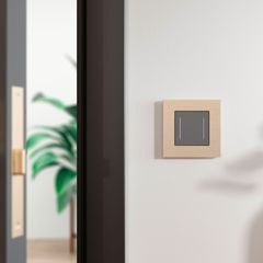 Рамка на 1 пост AluMax (шампань)